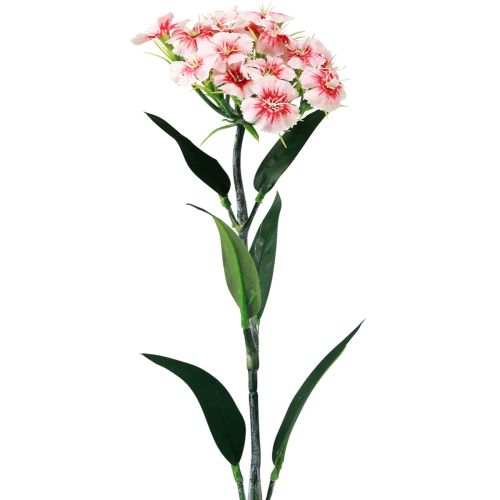 Barzdotas gvazdikas dirbtinis gvazdikas Peach Pink 52cm