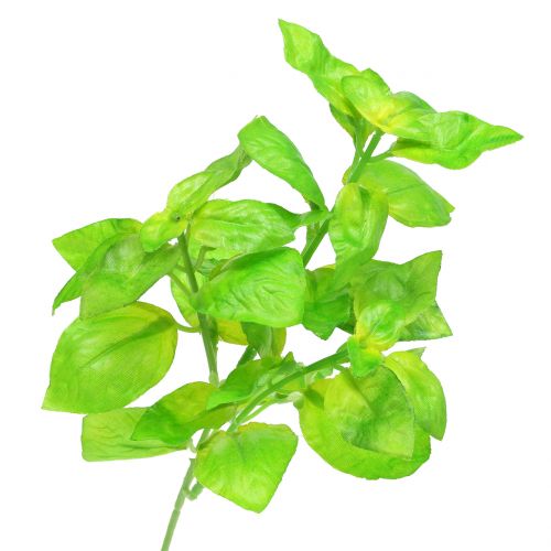 Floristik24 Bazilikas dirbtinis žalias 25cm 6vnt