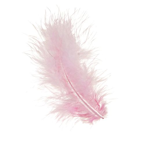 daiktų Craft plunksnos rožinės paukščių plunksnos pavasarinės Velykos 5-10cm 20g