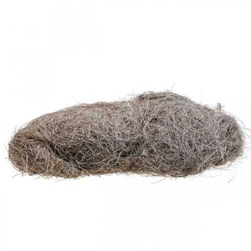 Floristik24 Rankdarbių medžiaga palmių pluoštai balta plauta palmyra palmė 1kg