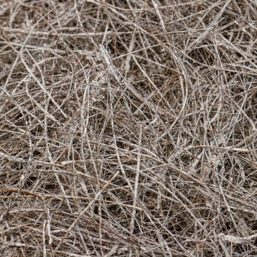 daiktų Rankdarbių medžiaga palmių pluoštai balta plauta palmyra palmė 1kg