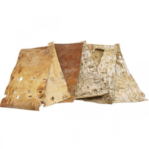 Floristik24 Medžio žievės dekoratyvinės žievės juostelės natūralios beržo žievės 30×12cm 6 vnt