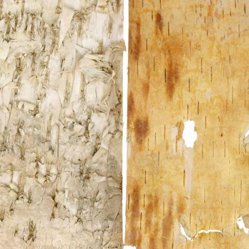Floristik24 Medžio žievės dekoratyvinės žievės juostelės natūralios beržo žievės 30×12cm 6 vnt