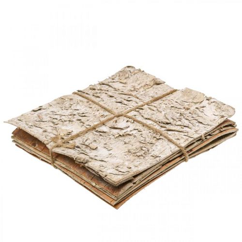 Floristik24 Medžio žievė dekoratyvinė žievė kvadratinė beržo žievė natūrali 20×20cm 6 vnt