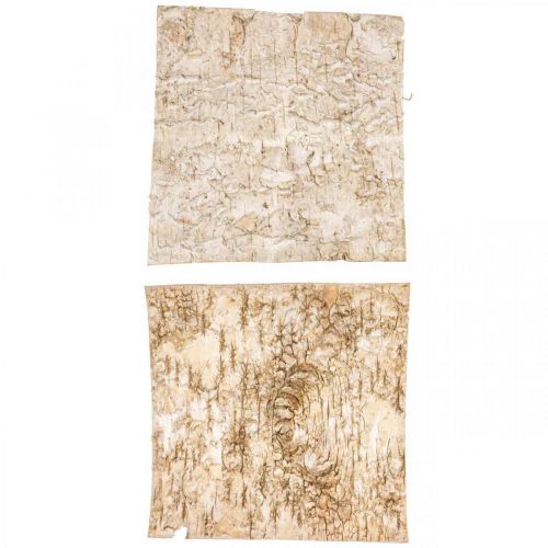 Floristik24 Medžio žievė dekoratyvinė žievė kvadratinė beržo žievė natūrali 20×20cm 6 vnt