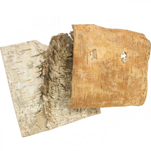 Floristik24 Medžio žievė dekoratyvinė žievė kvadratinė beržo žievė natūrali 10×10cm 6 vnt