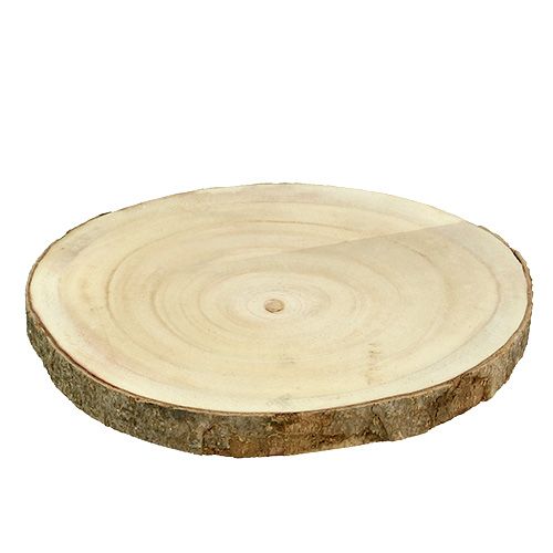 Floristik24 Medžio pjūvis gamta Ø20cm - 30cm