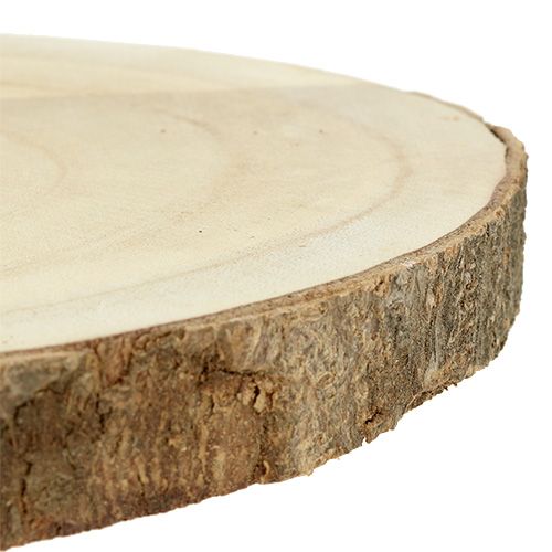 Floristik24 Medžio pjūvis gamta Ø20cm - 30cm