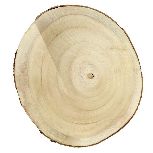Floristik24 Medžio pjūvis gamta Ø20cm - 30cm