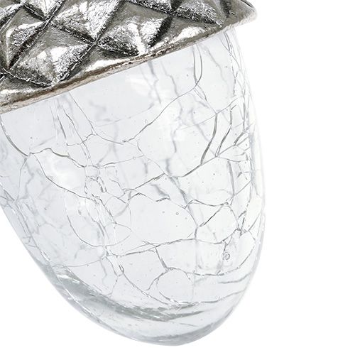 Floristik24 Medžių papuošalų gilės pakabinti 5cm - 7cm L16cm