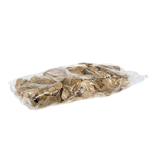 Floristik24 Natūrali medžio kempinė 2kg