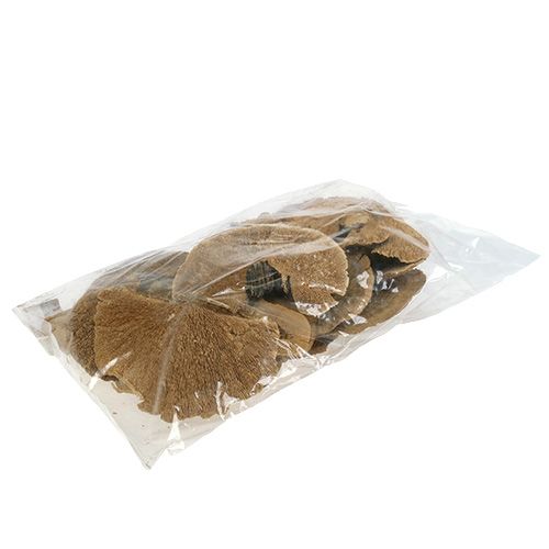 Floristik24 Medžių kempinė gamta 500g