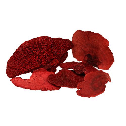 daiktų Medžio kempinė raudona 1kg