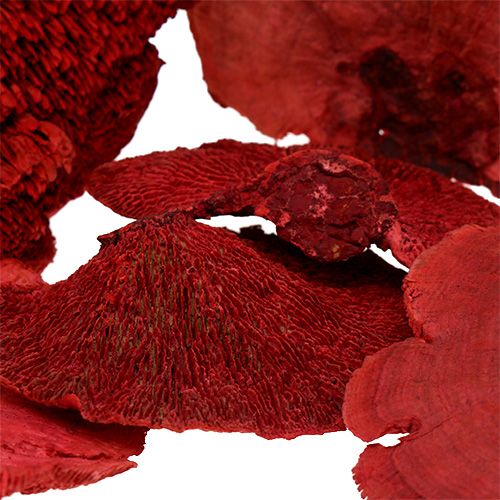 daiktų Medžio kempinė raudona 1kg