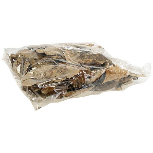daiktų Medžio kempinė natūralūs dekoratyviniai grybai džiovinti 6cm 1kg