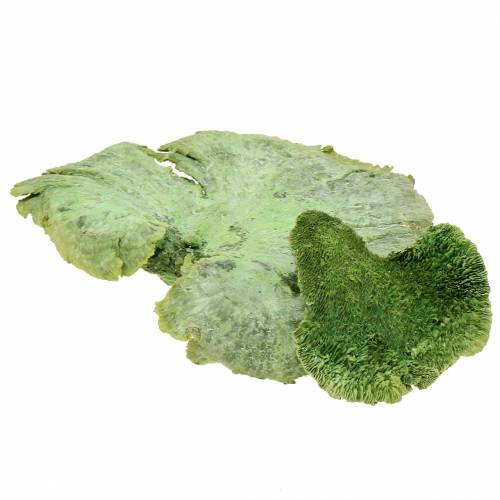daiktų Medžio kempinė žaliai balta skalbta 1kg