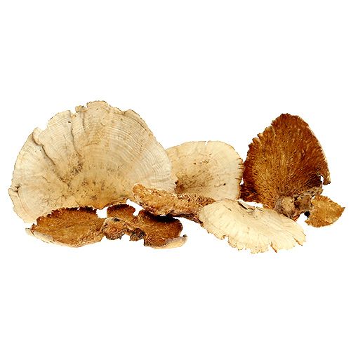 Medžio kempinė balinta 1kg
