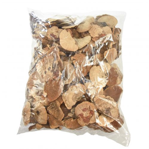 Floristik24 Medžio kempinė mažų natūralaus medžio grybų puošmena 4-6cm 1kg