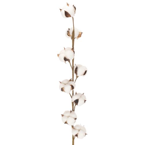 Dirbtinė medvilnės šakelė su 8 tikrais žiedais, 78 cm