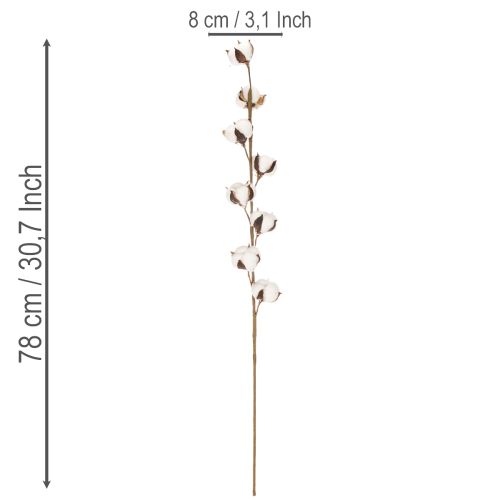 Dirbtinė medvilnės šakelė su 8 tikrais žiedais, 78 cm | Floristik24.lt