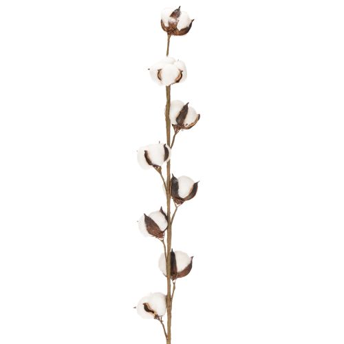 Dirbtinė medvilnės šakelė su 8 tikrais žiedais, 78 cm | Floristik24.lt