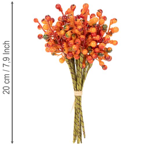 Oranžinių uogų kekė, 20 cm ilgio | Floristik24.lt