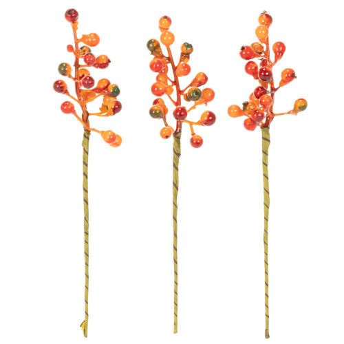 Oranžinių uogų kekė, 20 cm ilgio | Floristik24.lt