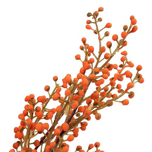 Floristik24 Uogos šakelė oranžinė L48cm 1vnt