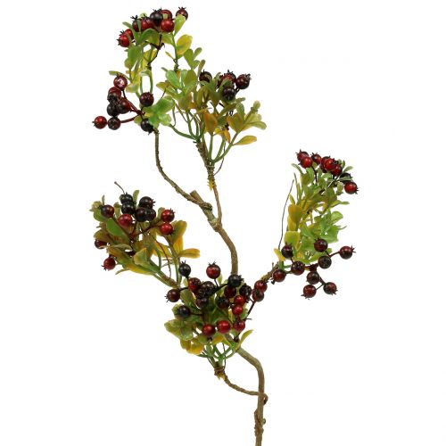 daiktų Dirbtinė uogų šakelė cotoneaster raudona 50cm 2vnt