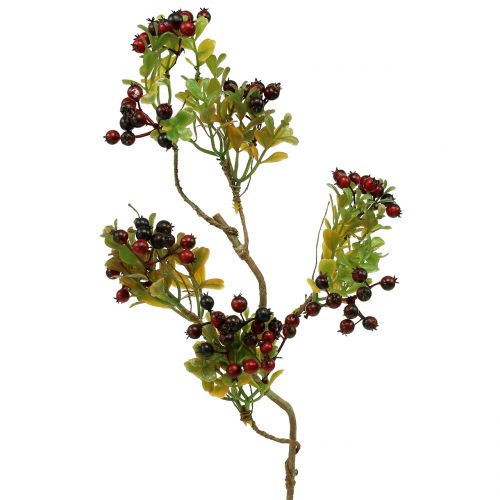 Floristik24 Dirbtinė uogų šakelė cotoneaster raudona 50cm 2vnt