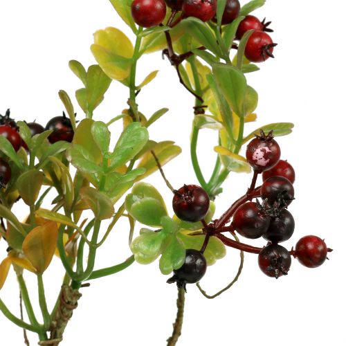 Floristik24 Dirbtinė uogų šakelė cotoneaster raudona 50cm 2vnt