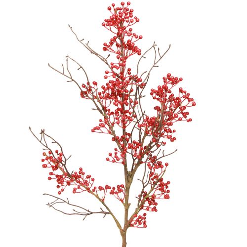 daiktų Uogų šakelė raudonos uogos šakelės puošmena rudens žiema L78cm