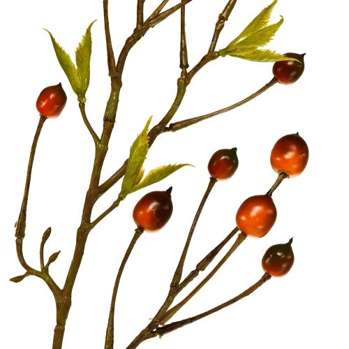 Floristik24 Uogų šakelė raudona dirbtinė dirbtinė šakelė deko šakelė 82cm
