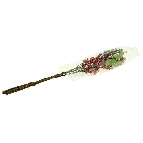 Floristik24 Uogos šakelė raudona 63cm 4vnt