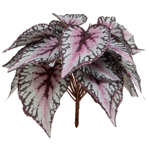 Dirbtinis begonijos krūmas Bordeaux 37cm