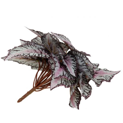 Floristik24 Dirbtinis begonijos krūmas Bordeaux 37cm