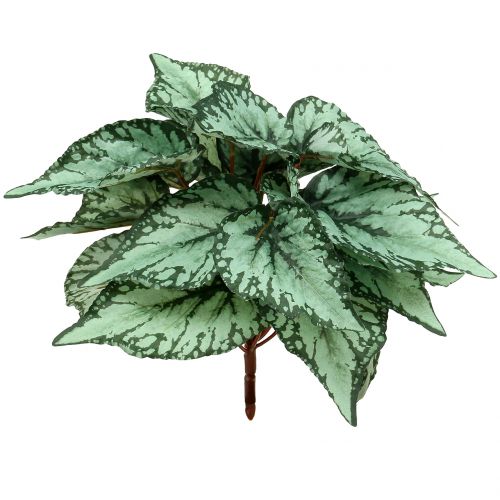Floristik24 Dirbtinis begonijos krūmas dirbtinis augalas žalias 34cm