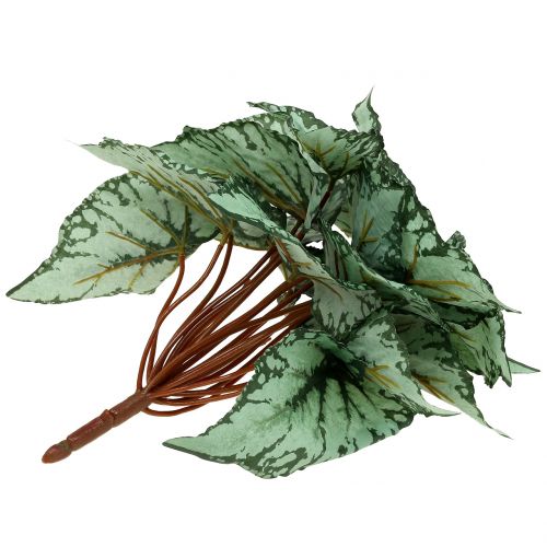 Floristik24 Dirbtinis begonijos krūmas dirbtinis augalas žalias 34cm