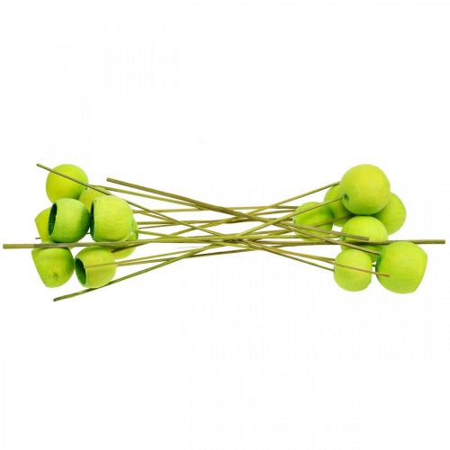 daiktų Varpelio puodelis ant pagaliuko Green Dried Exotics 15 vnt