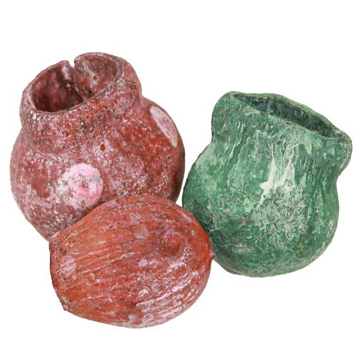 Floristik24 Varpelio vaisius žalios uogos matinės 2,5-3,5cm 500g