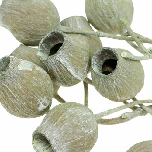 daiktų Varpelio šaka 5cm - 7cm žalia matinė 20 vnt