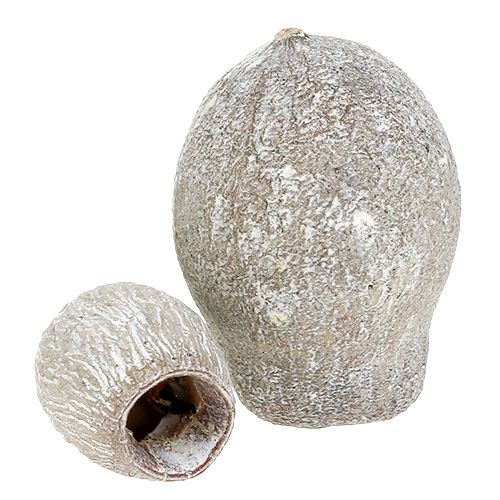 daiktų Varpeliai baltinti 2cm - 5cm 500g