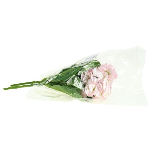 daiktų Bellisbund šviesiai rožinė 24cm 2vnt
