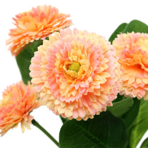 Floristik24 Daisy dirbtinių persikų spalvos 24cm 2vnt