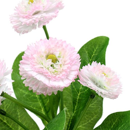 Floristik24 Bellispick rožinė L 24cm