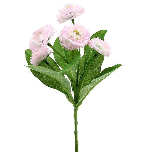 Floristik24 Bellispick rožinė L 24cm