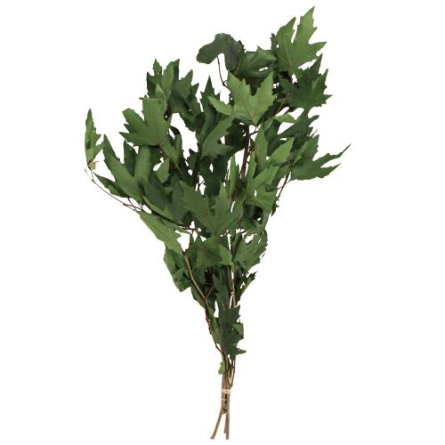 daiktų Platana šakos lapai dekoratyviniai klevo lapai žali 50-60cm 100g