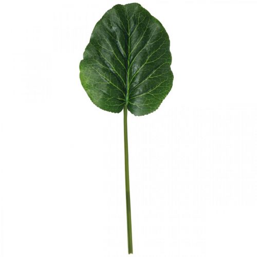 daiktų Dirbtinis žalias augalas Bergenia žalias dirbtinis augalas 53cm