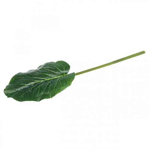 daiktų Dirbtinis žalias augalas Bergenia žalias dirbtinis augalas 53cm