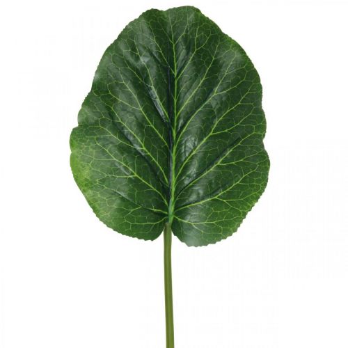 Floristik24 Dirbtinis žalias augalas Bergenia žalias dirbtinis augalas 53cm